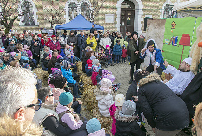 termeloi_nap20171119_bl_006_web.jpg
