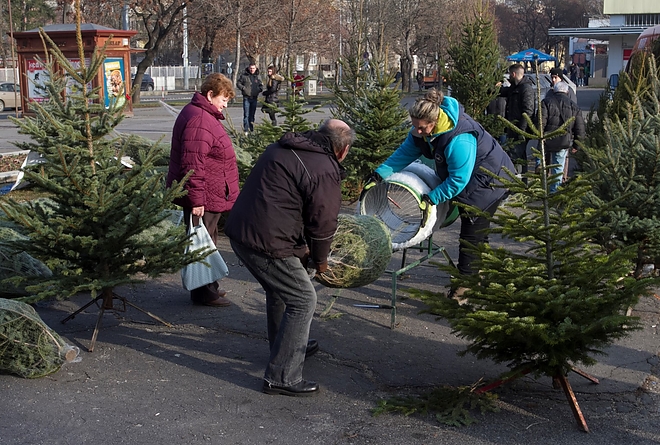 fenyovasar_gyorikapu_171219ml_18.jpg