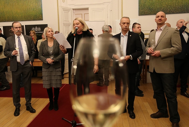 furmint_180209ml_34.jpg