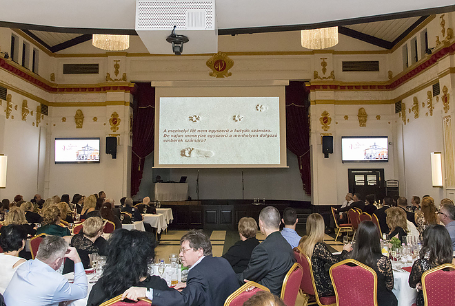 masa_jotekonysagi_bal_20180408_bl_026_web.jpg
