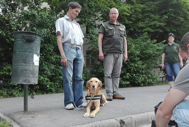 vakvezeto_kutya_2.jpg vakvezeto_kutya_2.jpg