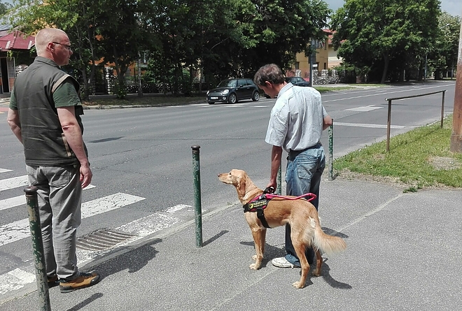vakvezeto_kutya_11.jpg vakvezeto_kutya_11.jpg