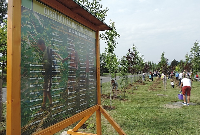 ujszulottpark_avas_fodorz_180609_ki_59.jpg ujszulottpark_avas_fodorz_180609_ki_59.jpg