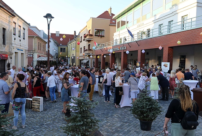 gasztro_placc_180713_ja_44.jpg