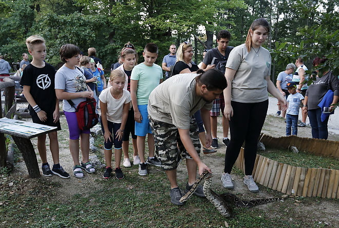 ejszakazoo_20180831_vcs_01.jpg
