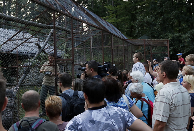 ejszakazoo_20180831_vcs_05.jpg