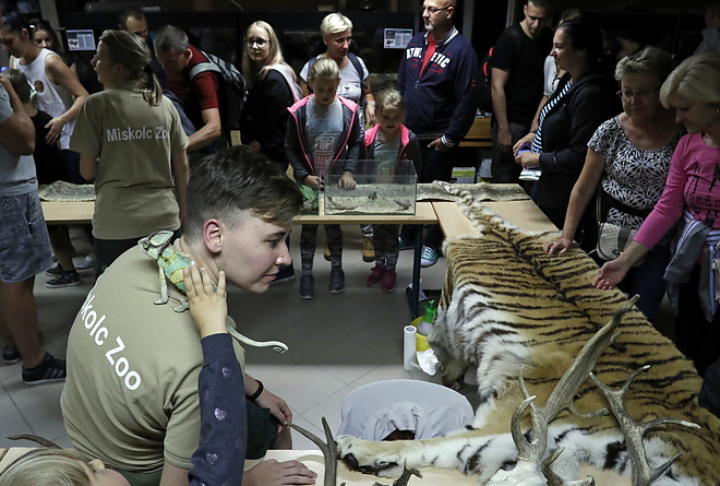 ejszakazoo_20180831_vcs_20.jpg