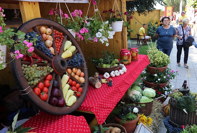 kozfoglalkoztatas_kiallitas_180907ml_23.jpg