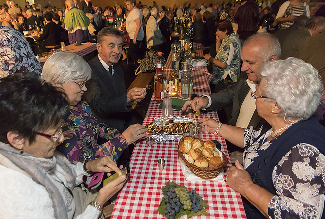 salkahazi_szureti_bal_20180928_bl_003_web.jpg