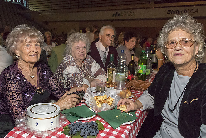 salkahazi_szureti_bal_20180928_bl_007_web.jpg