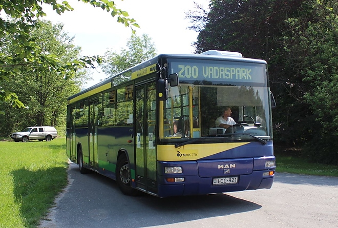 zoo_jarat_busz.jpg
