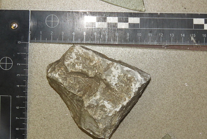 n4271606.jpg
