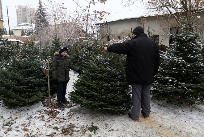 fenyovasar_181221_ja_1.jpg