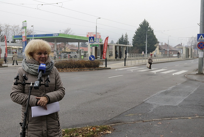 okos_zebra_20181203_vcs_04.jpg