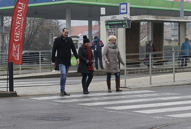 okos_zebra_20181203_vcs_10.jpg