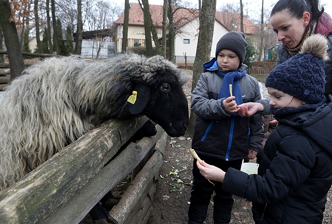 vadaspark_karacsony_181227_ja_14.jpg