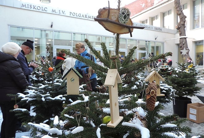 angyalkert_pr_20190107_12.jpg angyalkert_pr_20190107_12.jpg