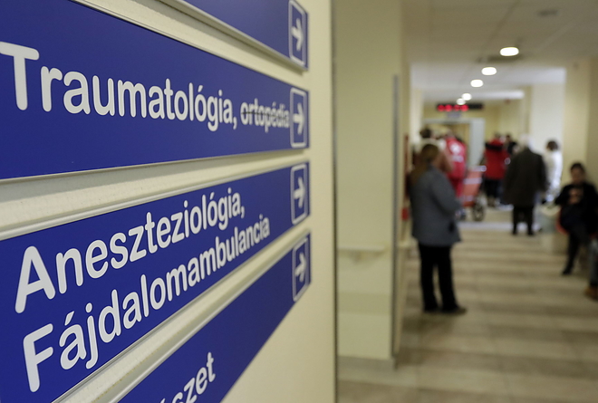 gipszeles_20190111_vcs_11.jpg