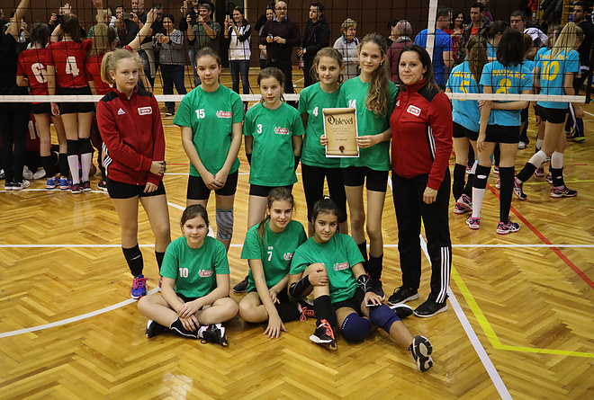 mvsi-ropi-01-09.jpg