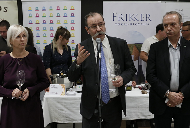 furmint_februar_190208_vcs_12.jpg
