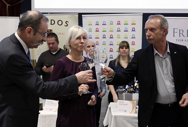furmint_februar_190208_vcs_16.jpg