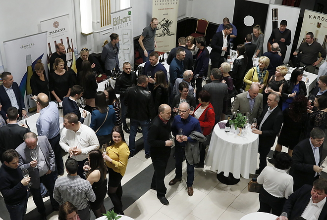 furmint_februar_190208_vcs_23.jpg
