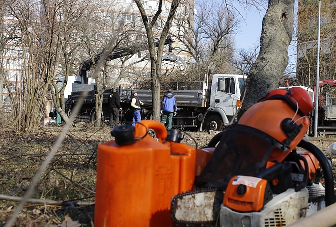 gallyazas_selyemret_pr_20190227_6.jpg gallyazas_selyemret_pr_20190227_6.jpg