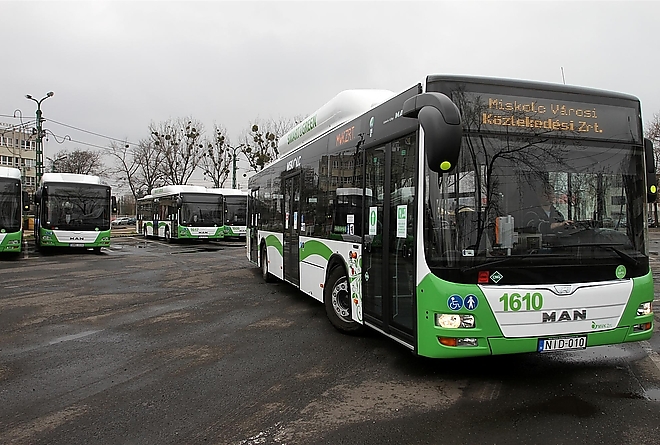 buszjarat.jpg