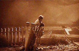 szel_gif.gif szel_gif.gif