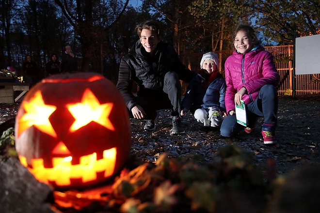 allatkert_halloween_171028ml_11.jpg