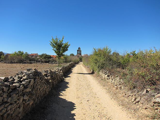 camino_5.jpg