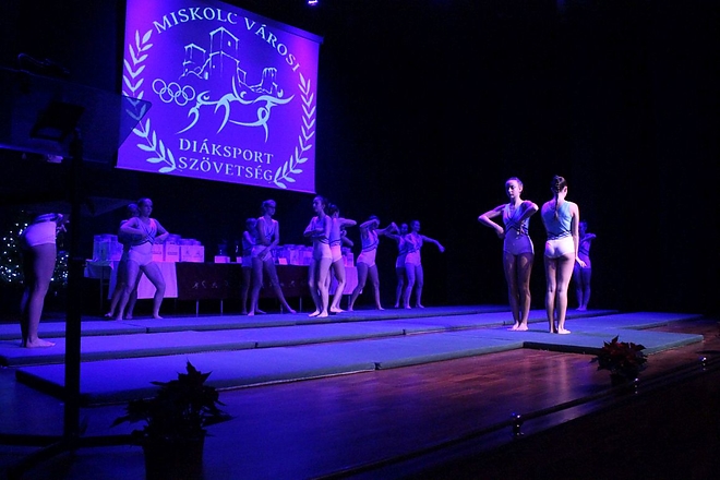 diaksport_dijatado_muha171215_pr7.jpg