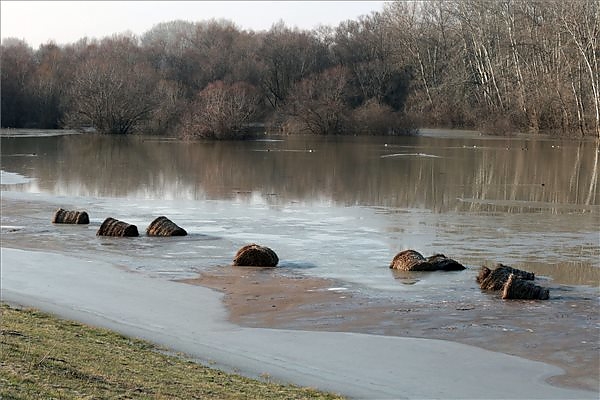 tisza_aradas.jpg