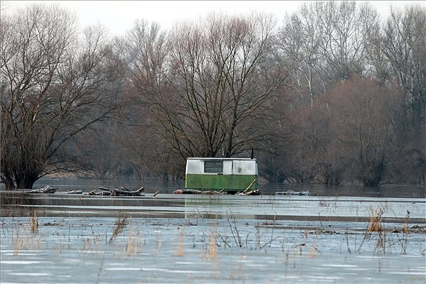 tisza_aradas2.jpg