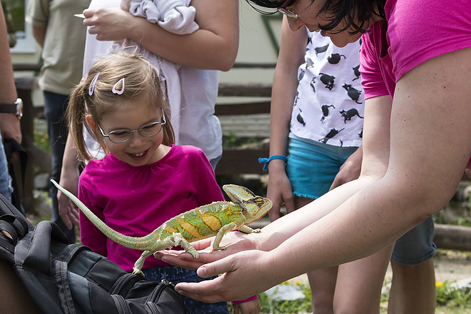 fold_napja_a_miskolci_allatkert_es_kulturparkban20180422_bl_027_web.jpg fold_napja_a_miskolci_allatkert_es_kulturparkban20180422_bl_027_web.jpg