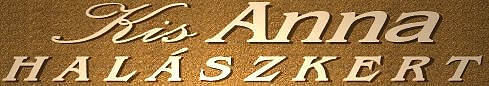 logo_002.jpg