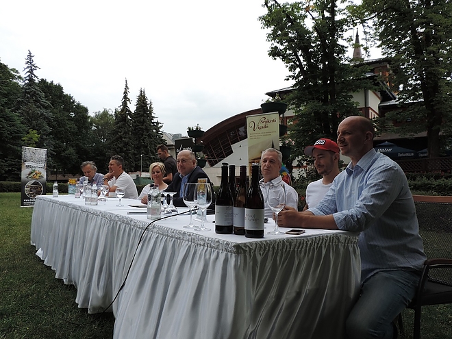 miskolci_piknik_180607_ki_14.jpg