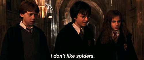 pok_harry_potter2.gif pok_harry_potter2.gif