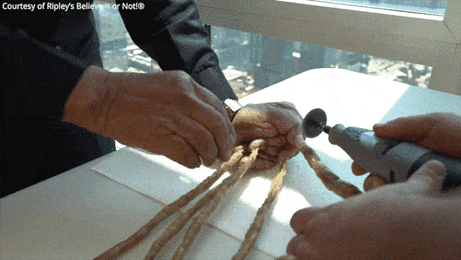 hosszu_korom_indiai.gif