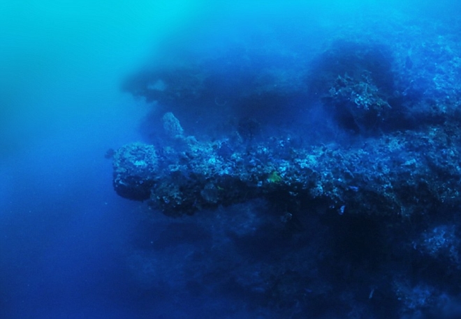 bermuda6.jpg bermuda6.jpg