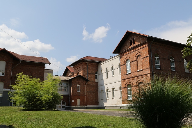 szent_hedvig_otthon_180802_ja_1.jpg