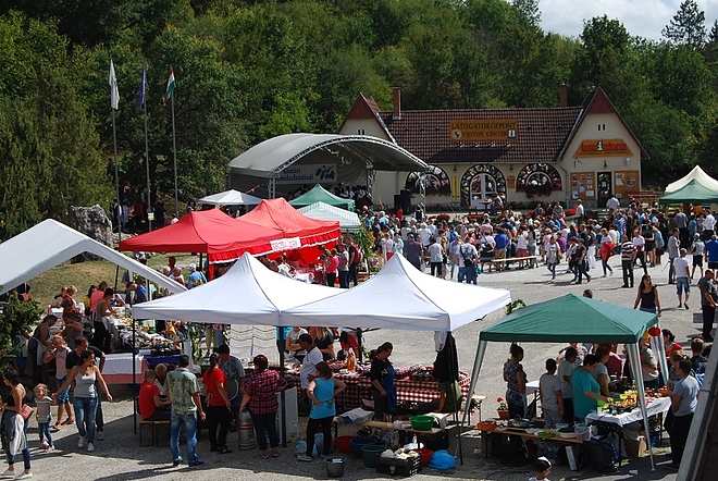 gomori_gyumolcsfesztival_1.jpg gomori_gyumolcsfesztival_1.jpg