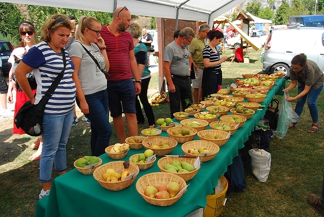 gomori_gyumolcsfesztival_2.jpg gomori_gyumolcsfesztival_2.jpg