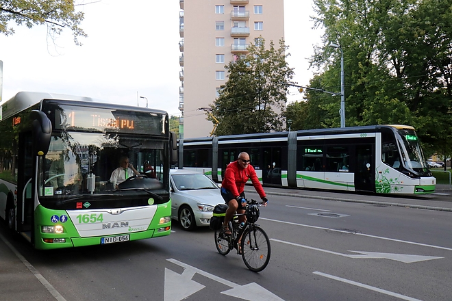 mobilitasi_het_180917ml_1.jpg