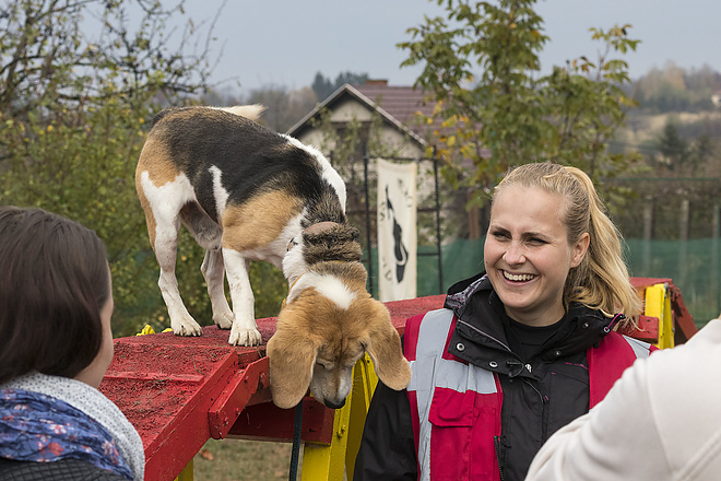 miskolci_ebnevelde_kutyaiskola_20181027_bl_024_web.jpg