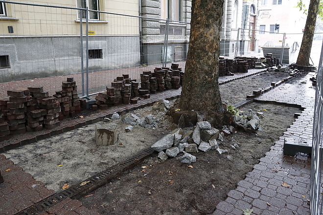 szemere_kert_20181002_vcs_16.jpg