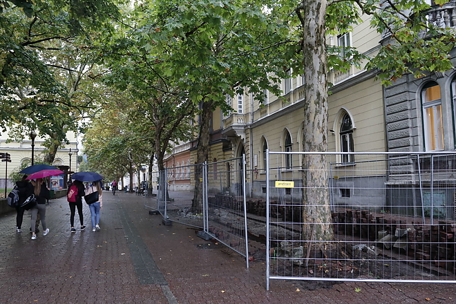 szemere_kert_20181002_vcs_19.jpg