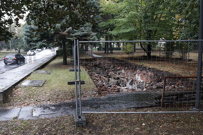 szemere_kert_20181002_vcs_20.jpg