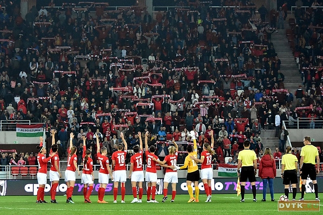 dvtk_ftc_noi_foci_181101_1.jpg