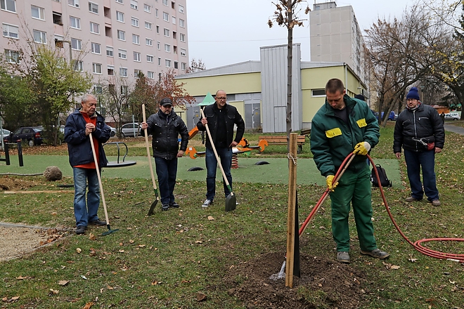 faultetes_gyori_kapui_kapuzorgetok_181119_ja_3.jpg